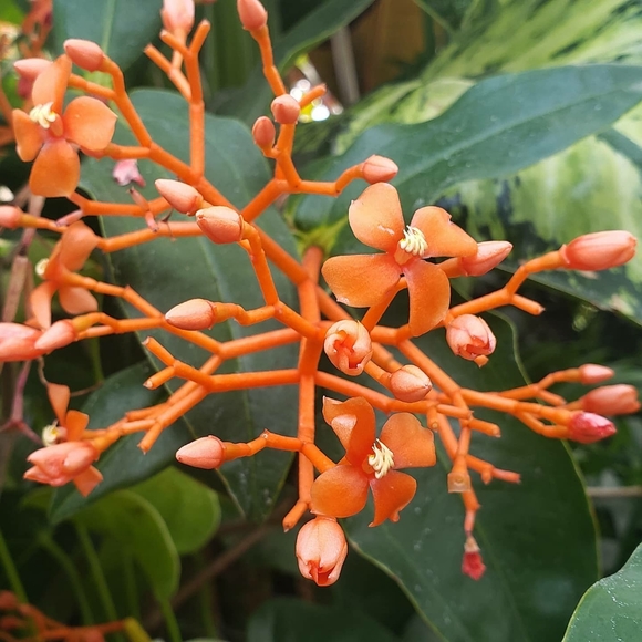 Meet your Posher! 🌟 🌹 - Picture 2 of 15